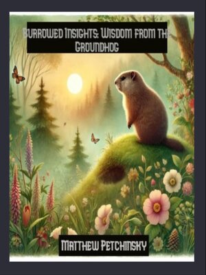 cover image of Burrowed Insights